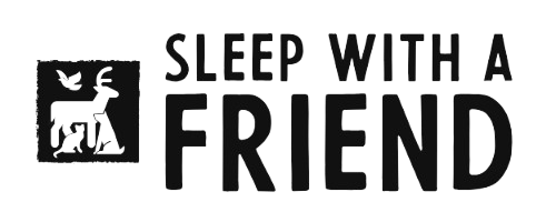 Sleep With a Friend